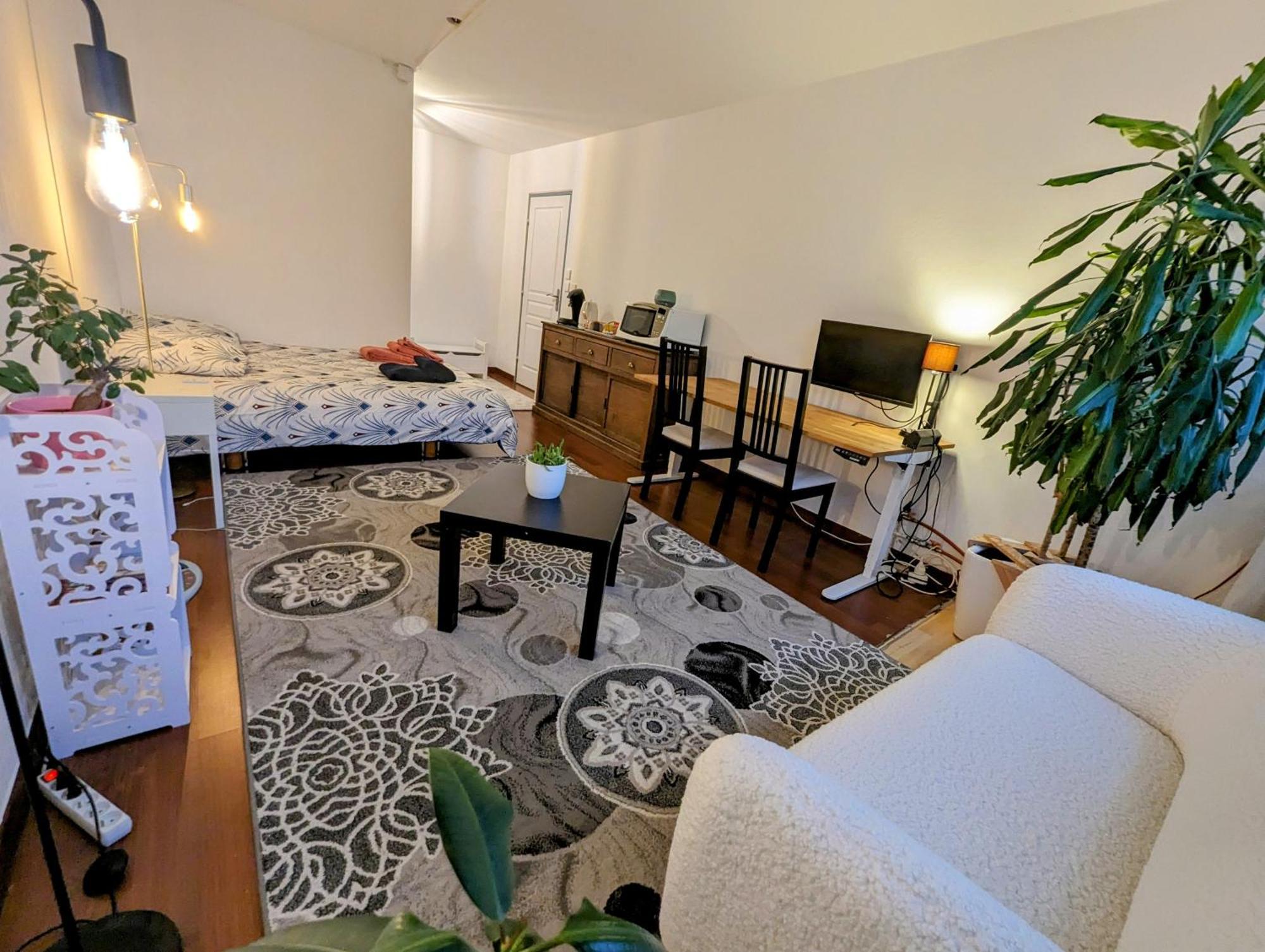 Chez Les P'Tits Loups Apartment Strasbourg Exterior photo