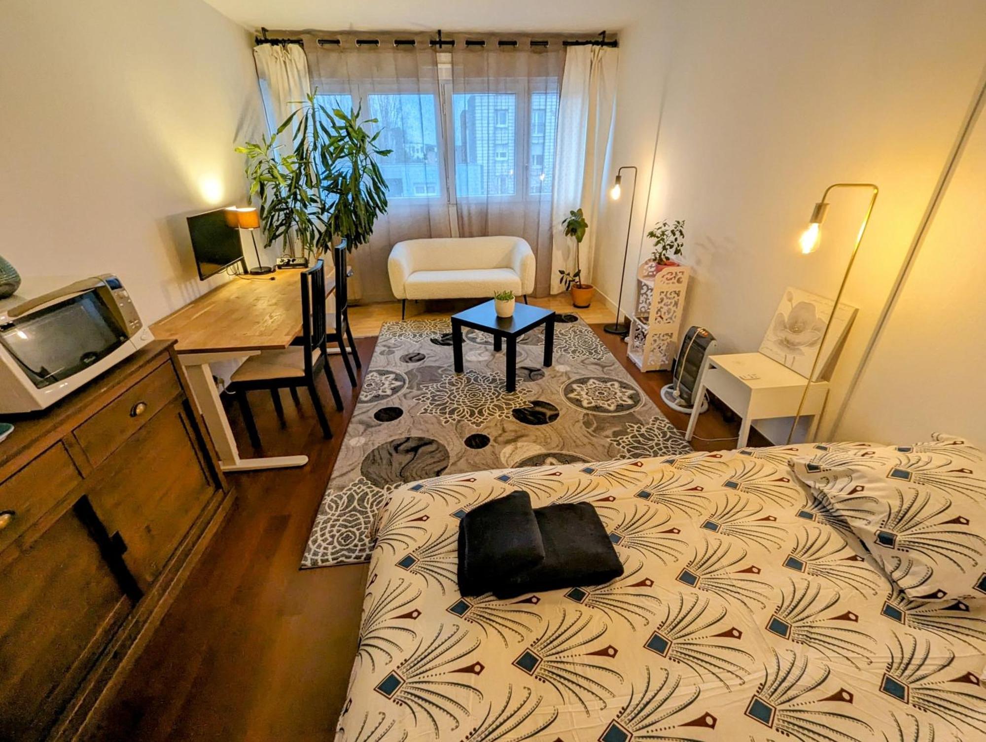 Chez Les P'Tits Loups Apartment Strasbourg Exterior photo